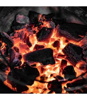 Вугілля Big Green Egg деревне, 9 кг