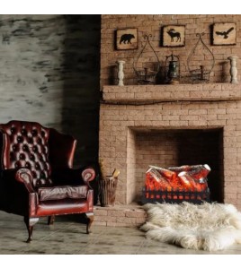 Електрокамін Aflamo LOG