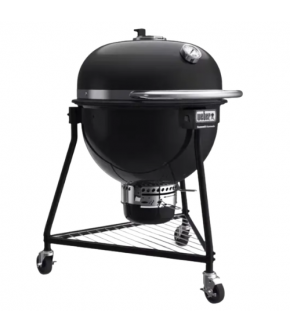 18201004 Гриль вугільний Summit Kamado E6, 61 cm
